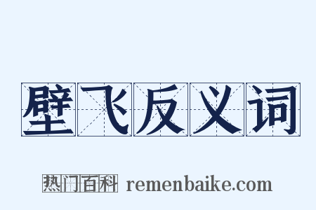 壁飞反义词是什么意思的图片
